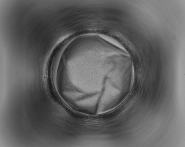 X0000086940727200705141801