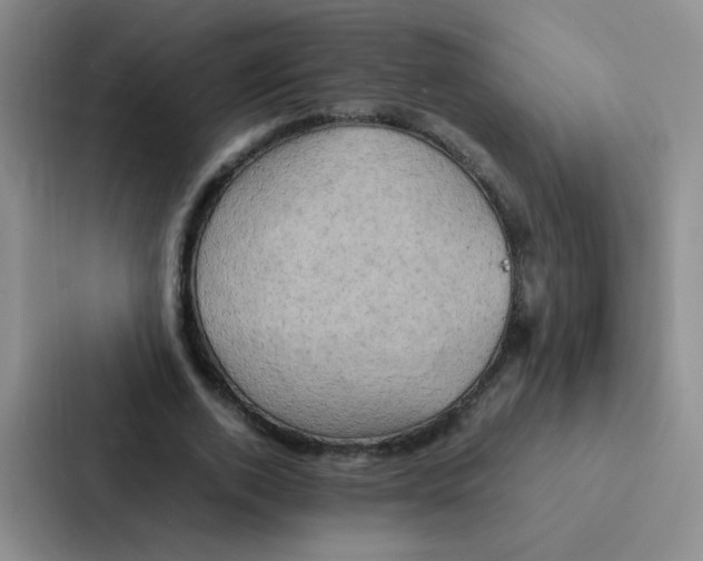 X0000086940728200705141801