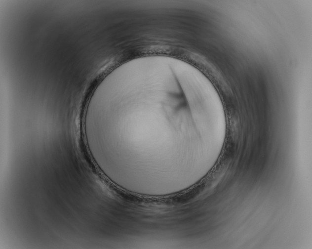 X0000086940729200705141801