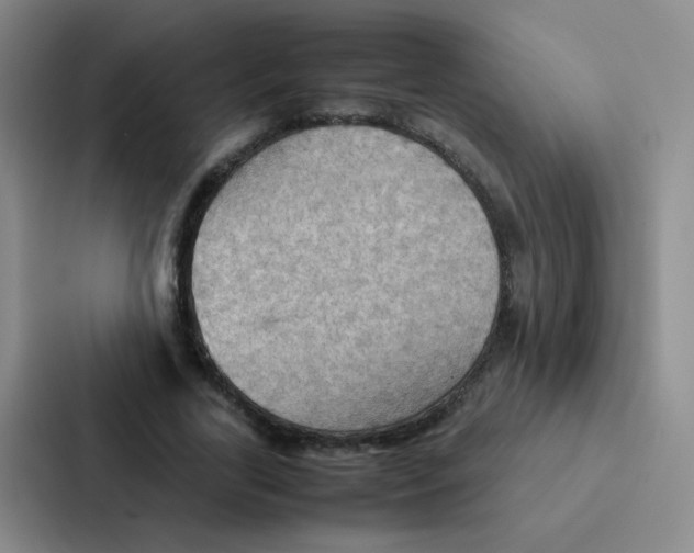 X0000086940731200705141801