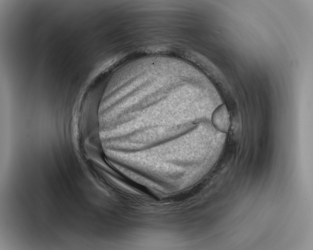 X0000086940732200705141801