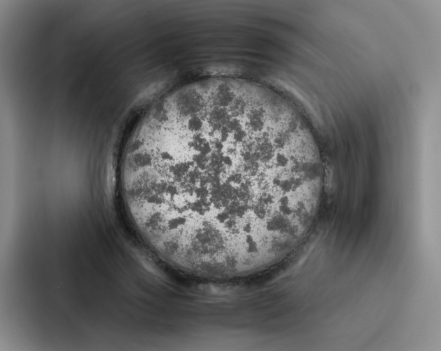 X0000086940733200705141801