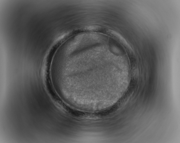 X0000086940736200705141802