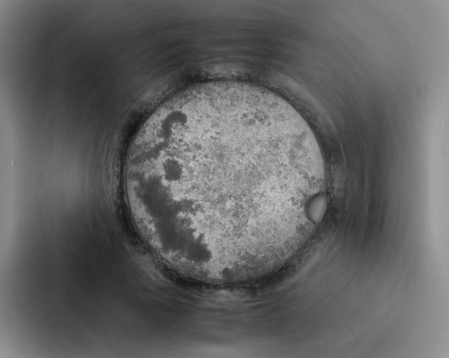 X0000086940737200705141802