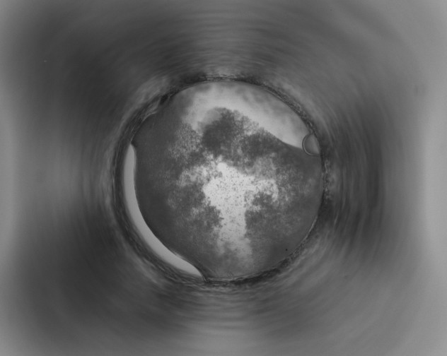 X0000086940738200705141802