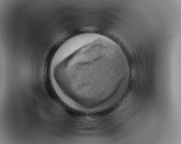 X0000086940739200705141802