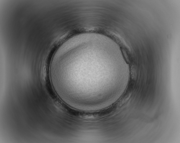 X0000086940740200705141802