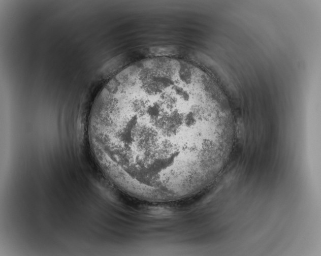 X0000086940741200705141802