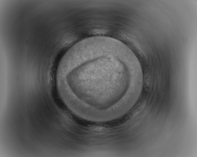 X0000086940743200705141802