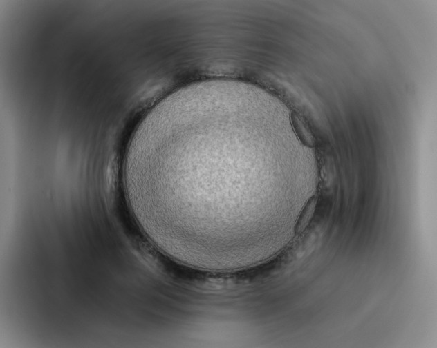 X0000086940744200705141802