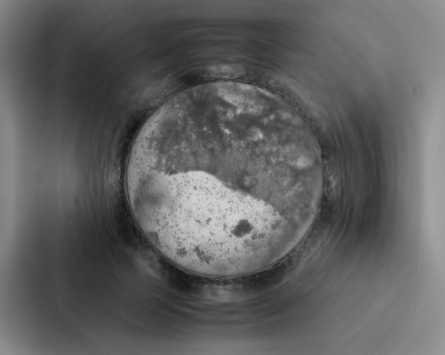 X0000086940745200705141802