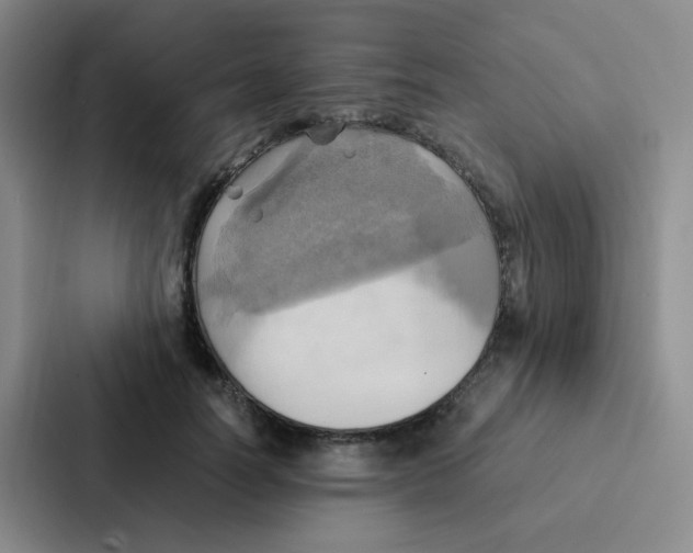 X0000086940746200705141802