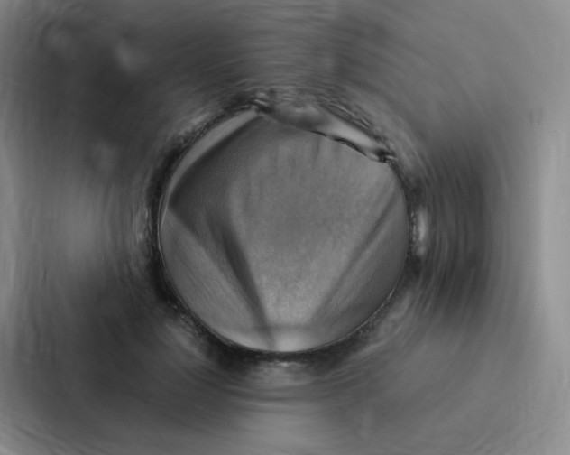X0000086940748200705141802