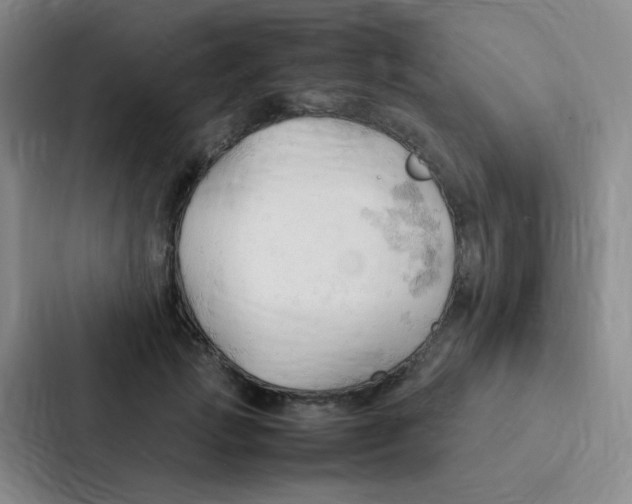 X0000086940749200705141802