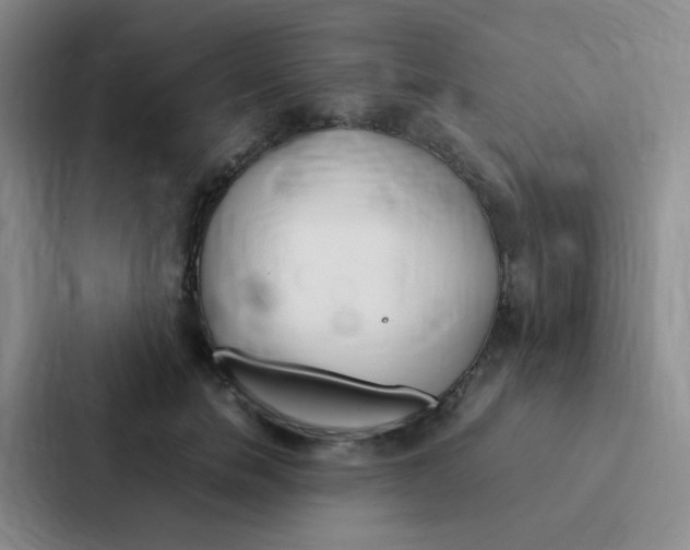 X0000086940750200705141802