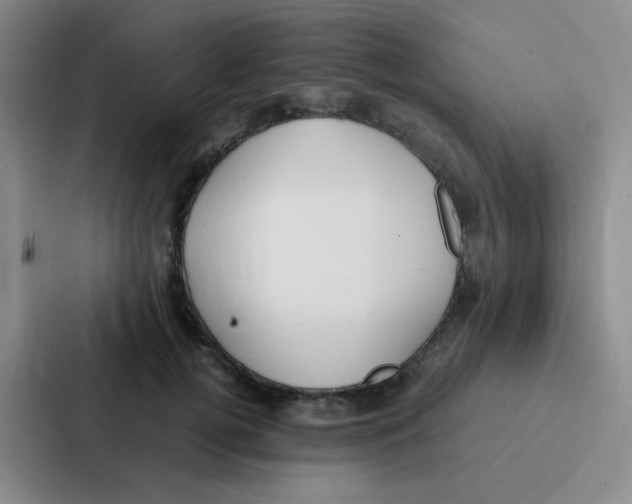 X0000086940752200705141802