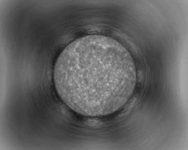 X0000086940753200705141802