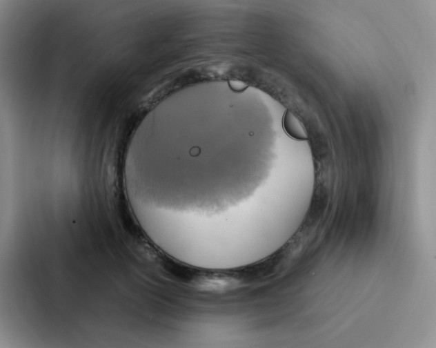 X0000086940754200705141802