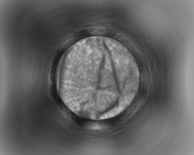 X0000086940755200705141802