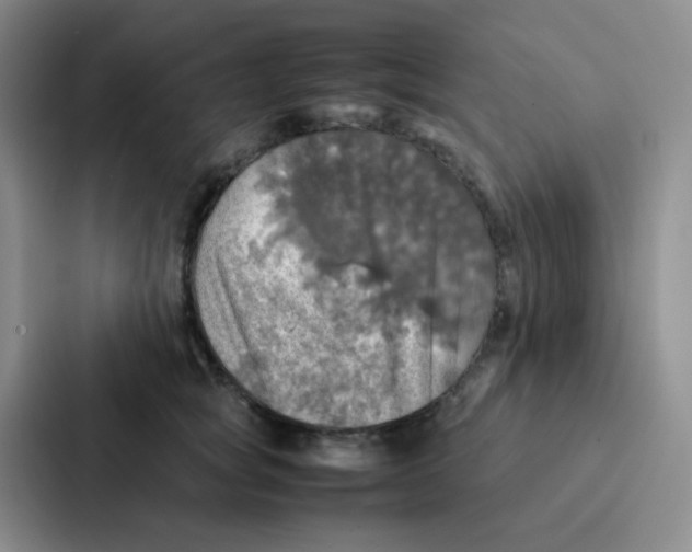 X0000086940757200705141802