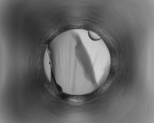 X0000086940758200705141802