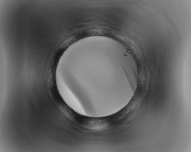 X0000086940759200705141802