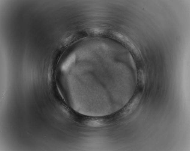 X0000086940760200705141802