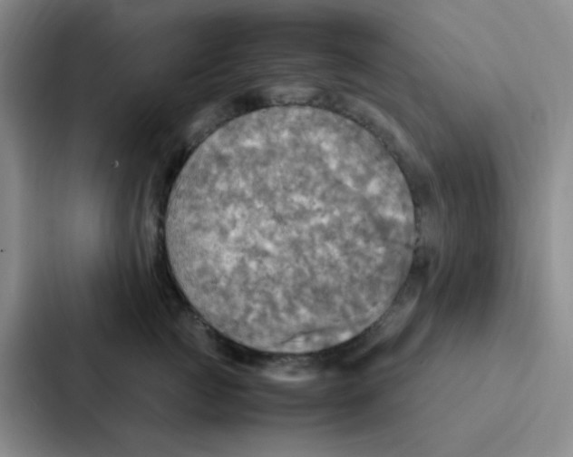 X0000086940761200705141802