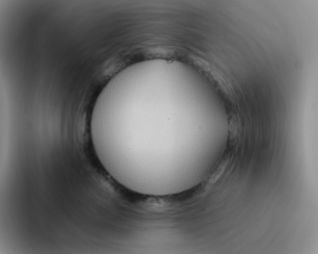 X0000086940764200705141802