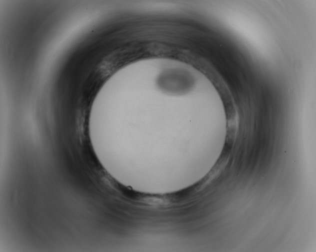 X0000086940765200705141802