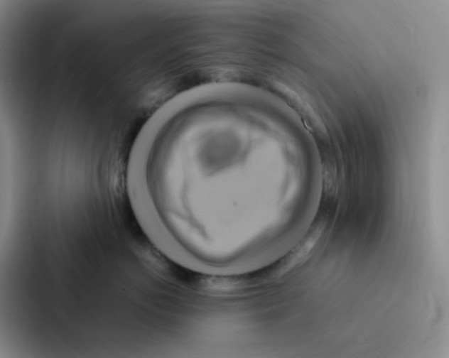 X0000086940766200705141802