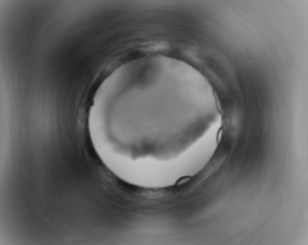 X0000086940767200705141802