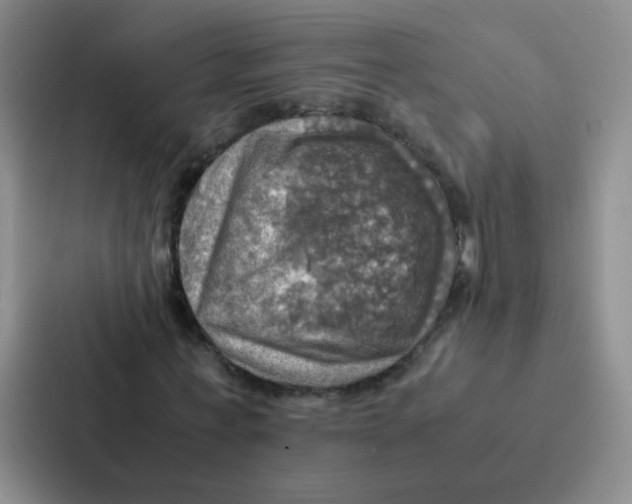 X0000086940771200705141801