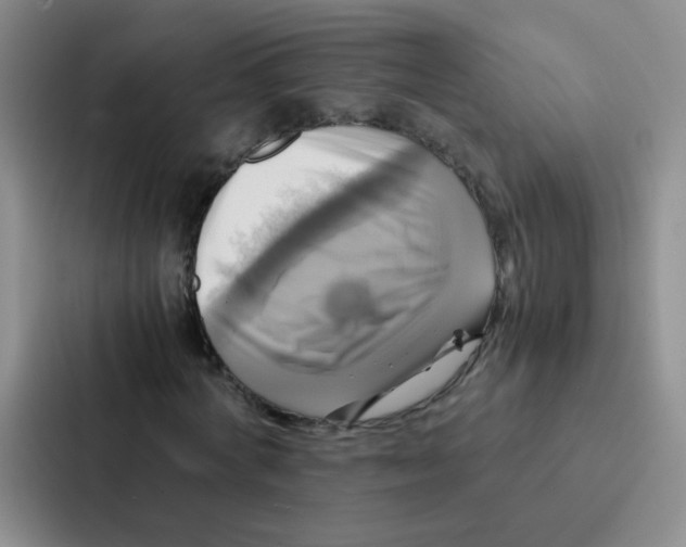 X0000086940772200705141801