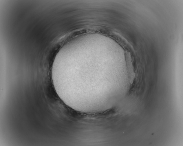 X0000086940773200705141801