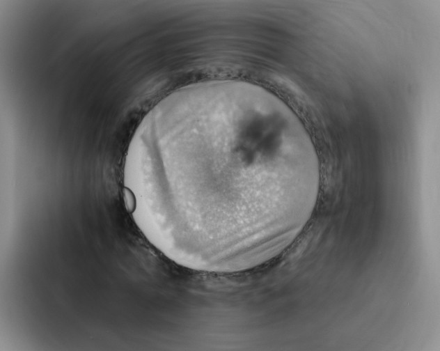 X0000086940774200705141801