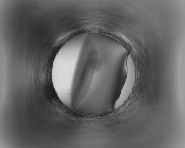 X0000086940775200705141801