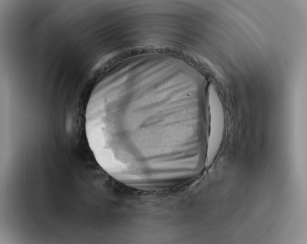 X0000086940776200705141801