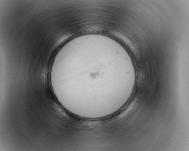 X0000086940778200705141801