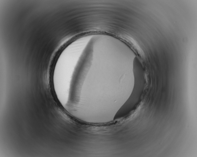 X0000086940780200705141801