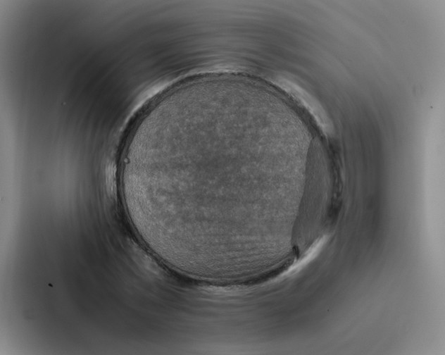 X0000086940781200705141801