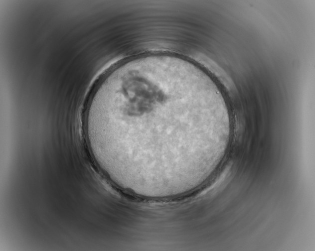 X0000086940782200705141801