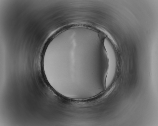 X0000086940783200705141801