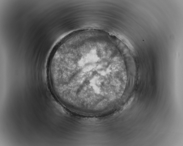 X0000086940784200705141801