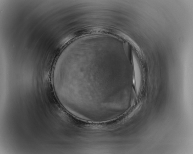 X0000086940785200705141801