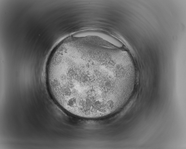 X0000086940787200705141801