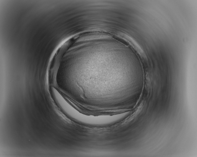 X0000086940788200705141801