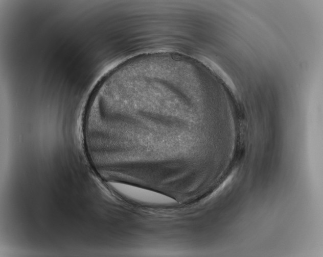 X0000086940789200705141801