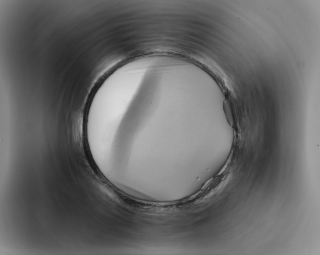 X0000086940790200705141801