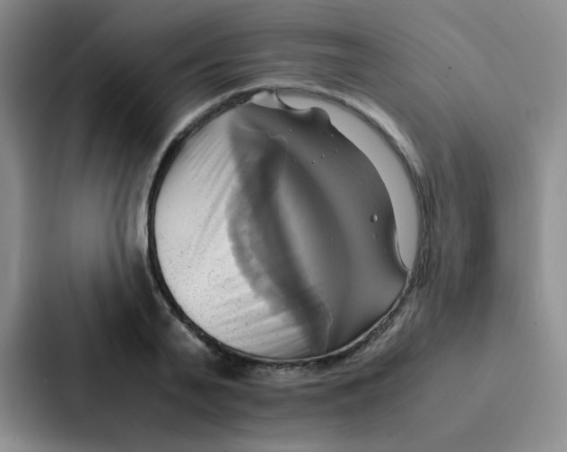 X0000086940791200705141801